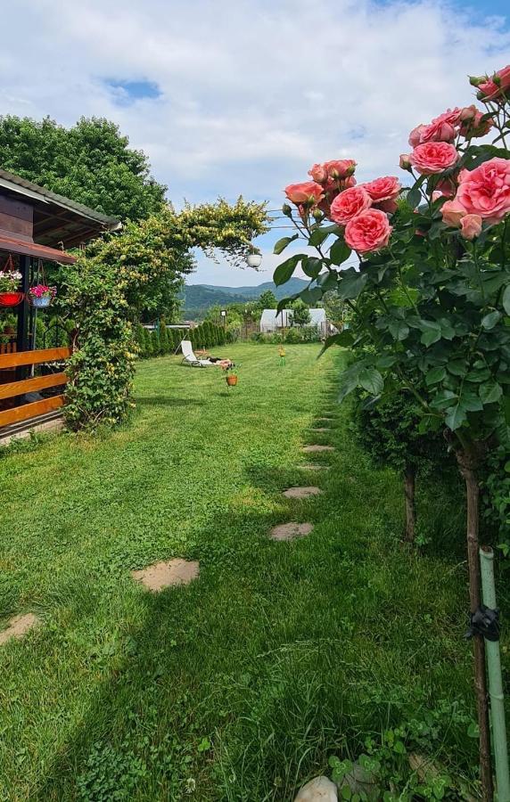 Casa Ursului Otel Bujoreni Dış mekan fotoğraf
